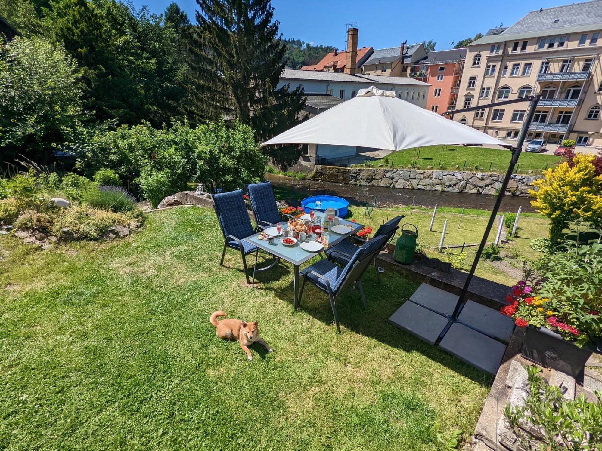 F2 - Urlaubsmagie Sauna, Whirlpool, Pool & Garten Sebnitz Exterior foto