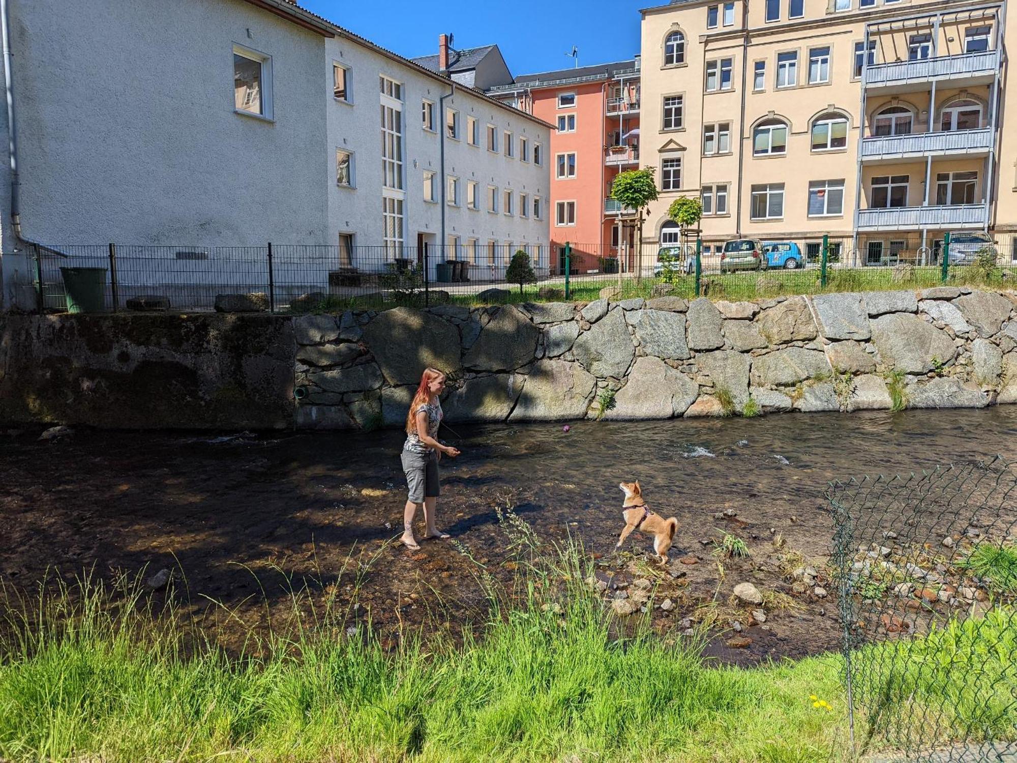 F2 - Urlaubsmagie Sauna, Whirlpool, Pool & Garten Sebnitz Exterior foto